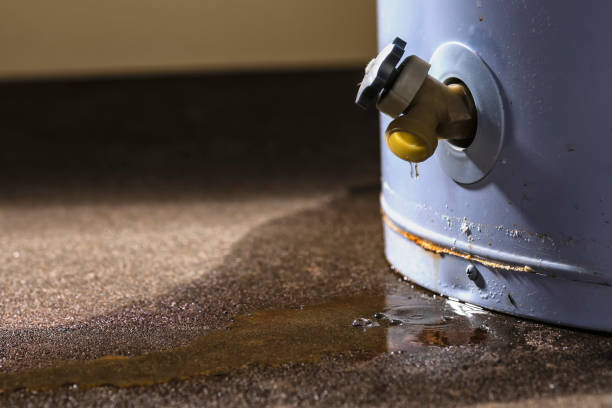Best Water damage cleanup near me  in Cherry Hills Village, CO