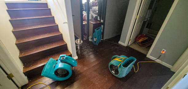 Best 24-hour water damage restoration  in Cherry Hills Village, CO
