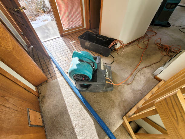 Best Water damage restoration near me  in Cherry Hills Village, CO