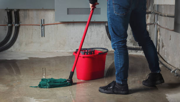 Best Commercial water damage restoration  in Cherry Hills Village, CO