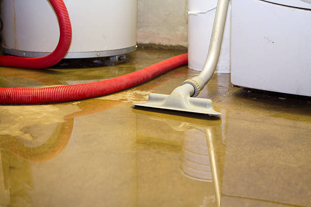 Best Water damage mitigation services  in Cherry Hills Village, CO