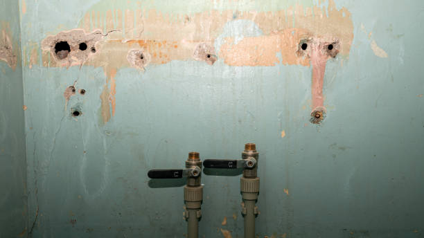 Best Flood damage cleanup  in Cherry Hills Village, CO