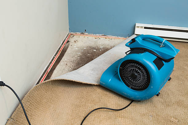 Best Water damage restoration mold remediation  in Cherry Hills Village, CO